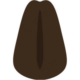 环境 大自然 植物 种子 (5)