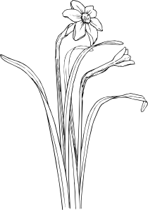 花卉植物干布什剪贴画