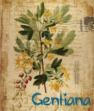 欧式复古水彩花卉图片