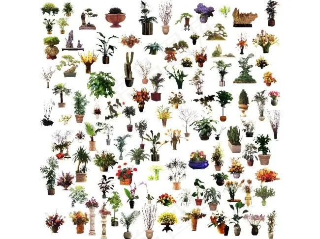 园林景观植物(5000X5000(DPI:300))psd模版下载