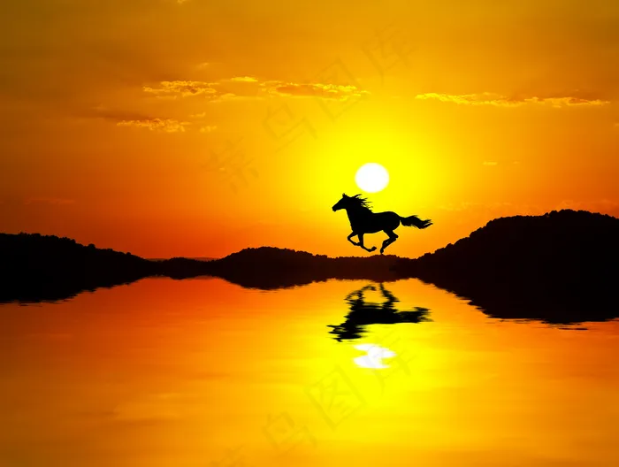 奔跑的骏马与夕阳