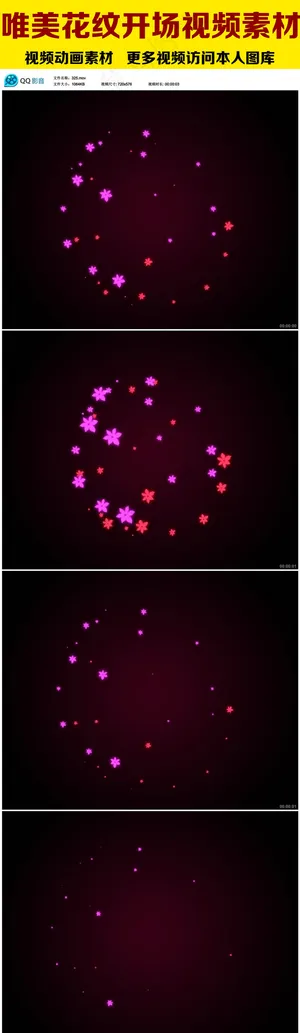 唯美花纹开场视频素材