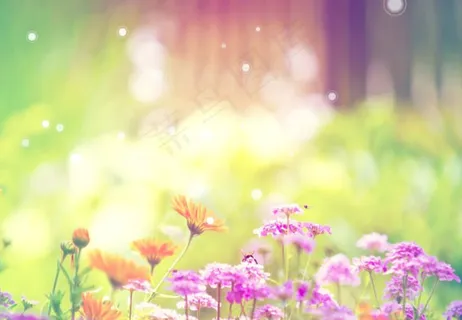 半透明梦幻圆点浮动