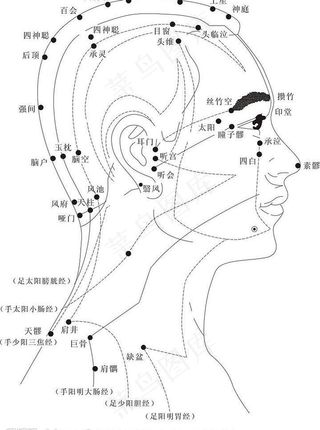 头部的经络穴位（侧面图）图片