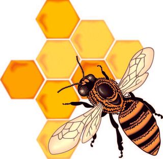 蜜蜂蜂巢矢量素材