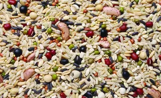 煮粥米 煮粥米背景图片