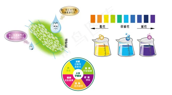 卡通水滴PH酸碱烧杯试验小分子团彩...