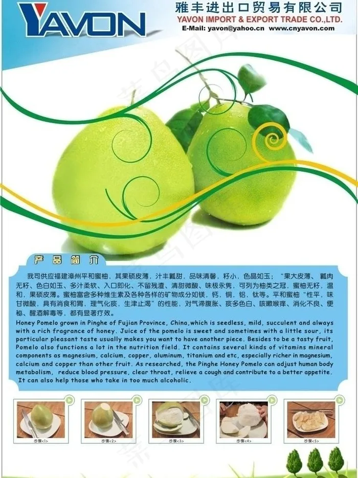 柚子的介绍与分解图片cdr矢量模版下载