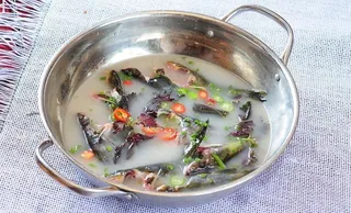 黄焖黄鸭叫图片