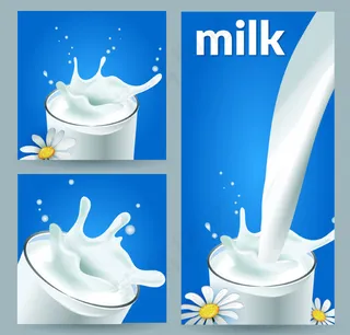 动感飞溅牛奶卡片矢量图