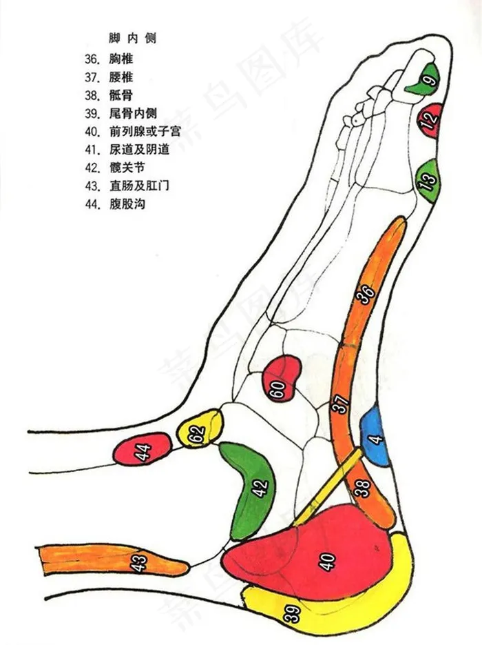 足疗穴位图片