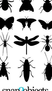 昆虫剪影图片 昆虫剪影图片