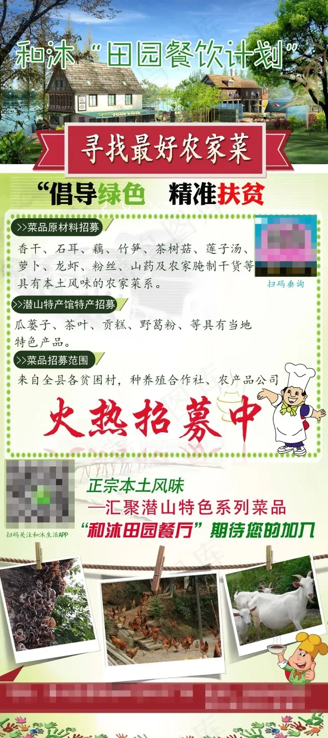 菜品展架(4724X10630(DPI:150))psd模版下载