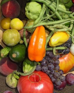 蔬菜与水果图片