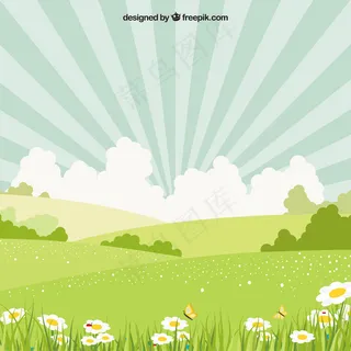 雏菊的春天风景