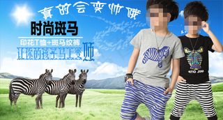 斑马服短袖T恤衫 春天 草地背景