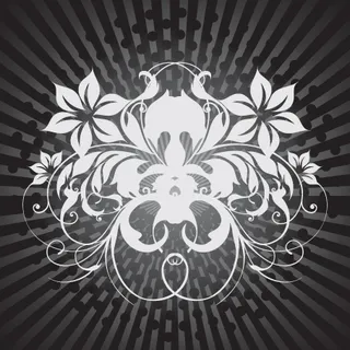 黑色和白色灰色花纹矢量