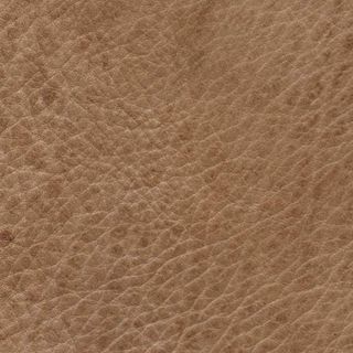 现代家居客厅模型