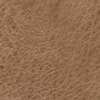 现代家居客厅模型