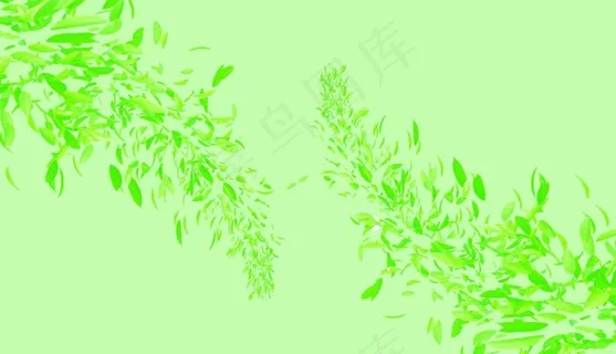 飞扬叶子图片
