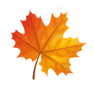 卡通枫叶矢量图下载