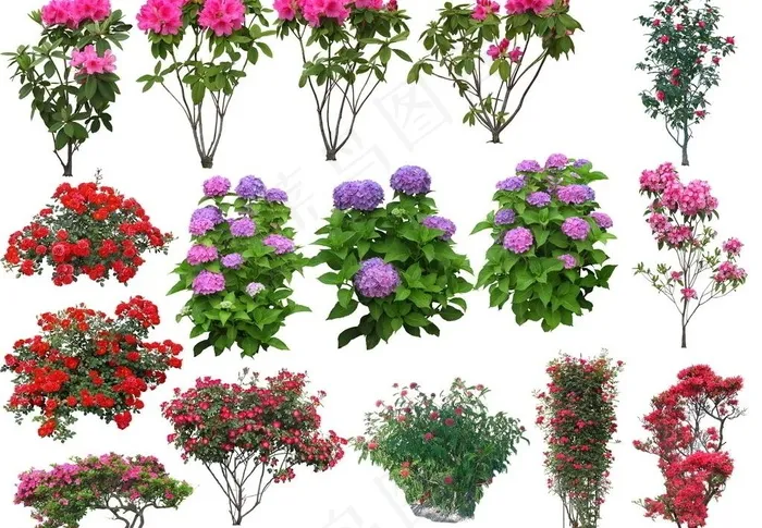园林景观花草树林透视鸟瞰效果图ps...(4000X3000(DPI:180))psd模版下载