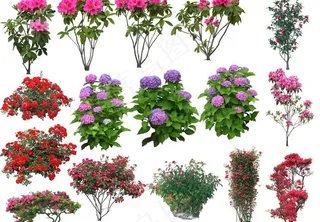 园林景观花草树林透视鸟瞰效果图ps...