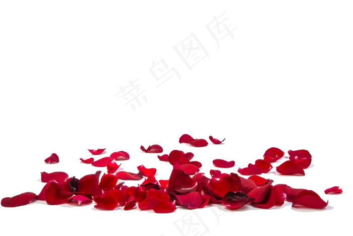 玫瑰花花瓣
