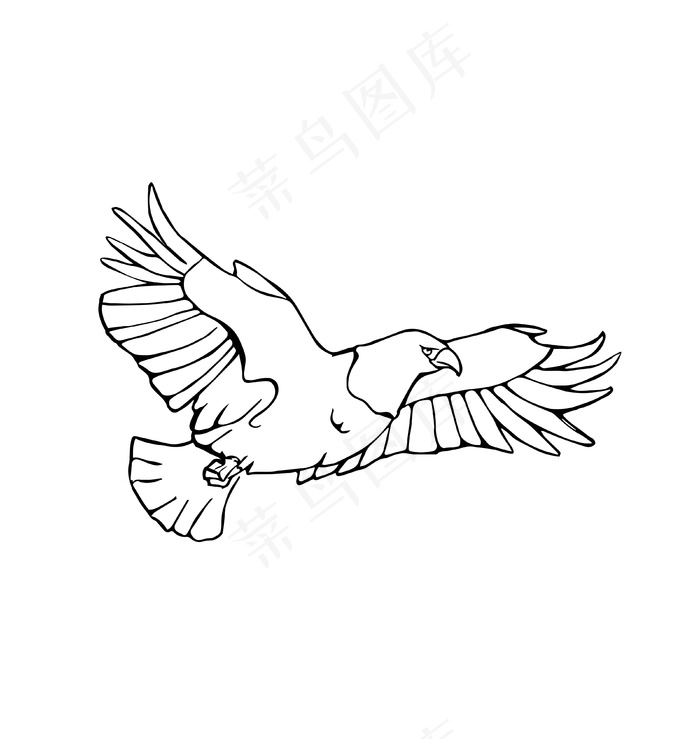 飞鸟简笔插画
