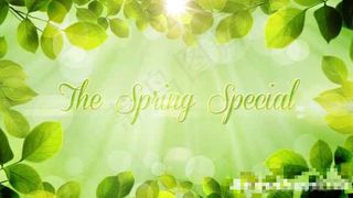 春天的特别促销LOGO展示模板