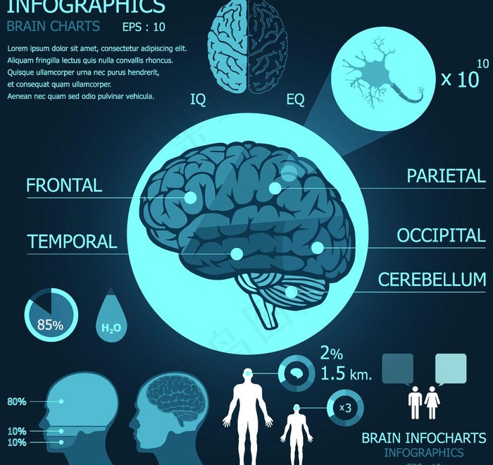 医疗信息图表图片