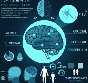 医疗信息图表图片