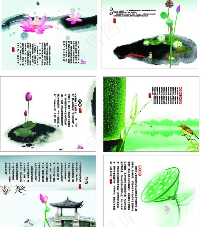 荷花艺术海报图片cdr矢量模版下载