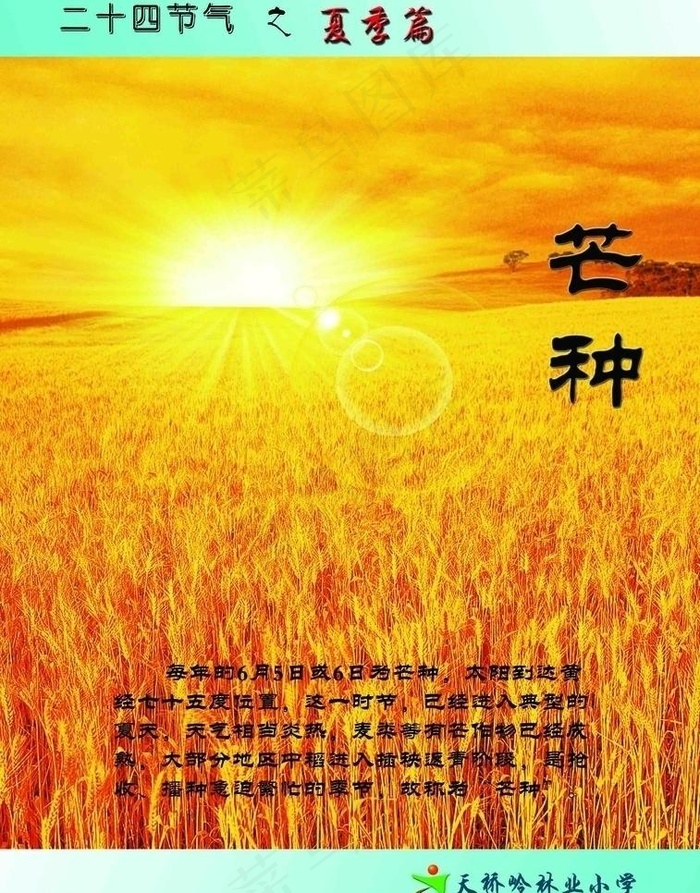 二十四节气 夏季篇 芒种图片(2409X3260(DPI:72))psd模版下载