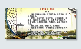 校园文化宣传展板图片