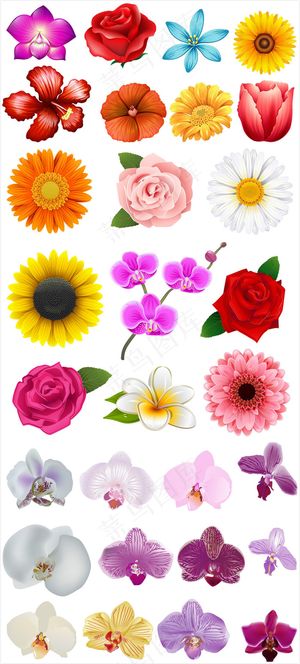 手绘鲜艳花朵卡通矢量素材