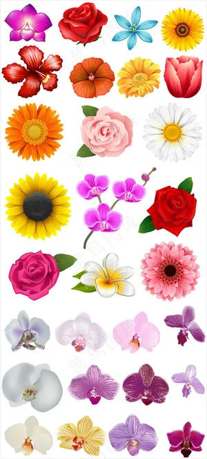 手绘鲜艳花朵卡通矢量素材