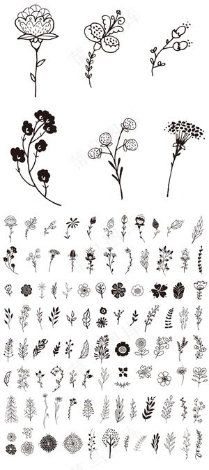 2017欧美手绘线条花枝藤条边框矢...