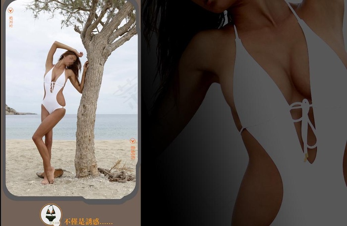 泳衣 泳装图片