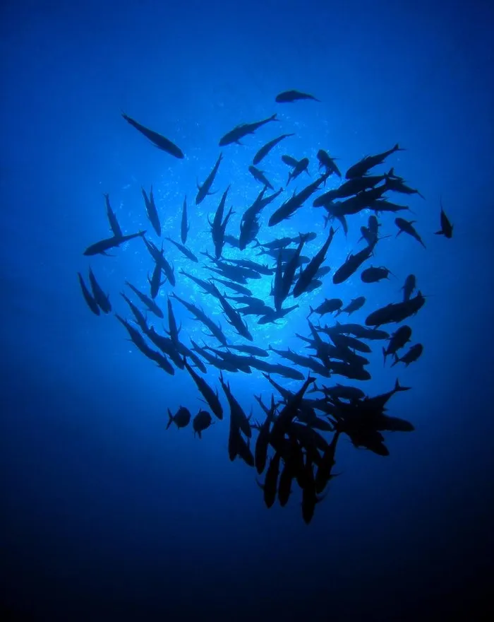 蓝色海洋图片