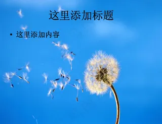 PPT高考学子如蒲公英般背景图片...