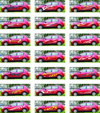 玫红汽车车贴LOGO花纹矢量图