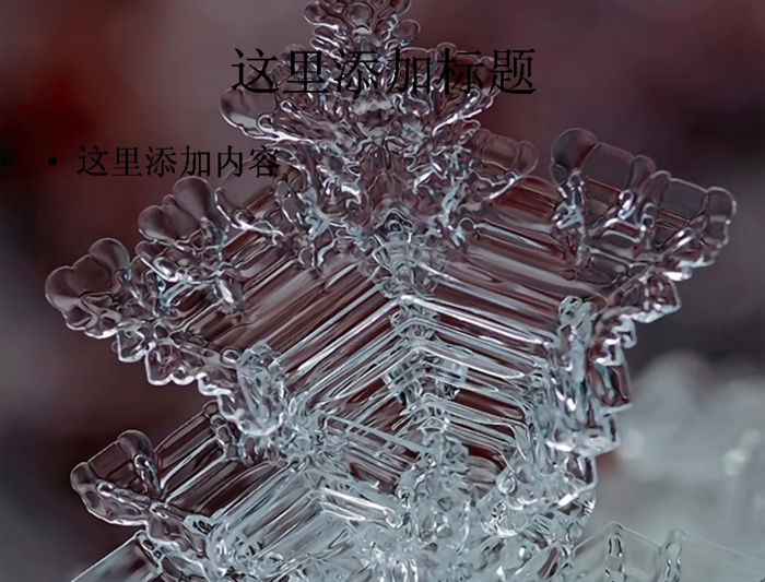 单反微距下的雪花唯美电脑ppt封...