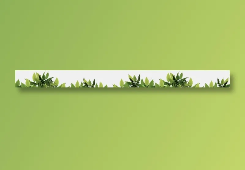树枝树叶免抠素材PNG分层