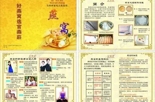 燕窝宣传单图片