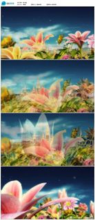 唯美花开LED视频素材