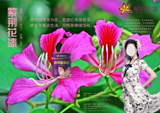 疏枝坚瘦骨为皮