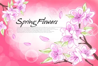 粉红背景花朵图