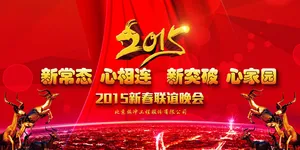 2015年会
