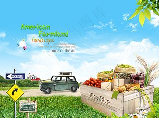 蓝天白云树叶草坪图片